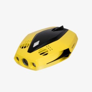 CHASING DORY - Image 1