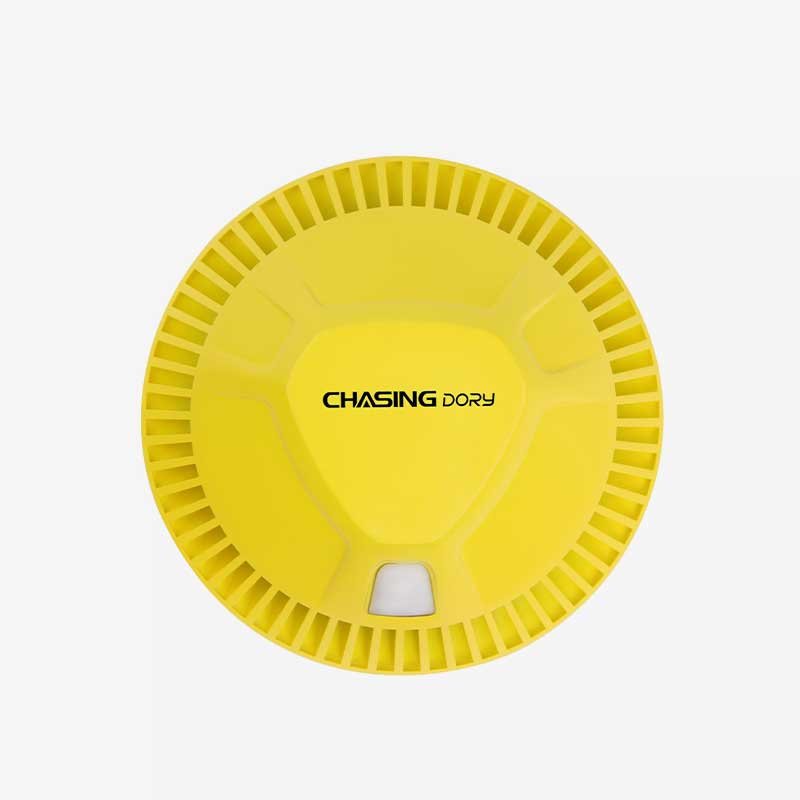 Chasing Dory 6