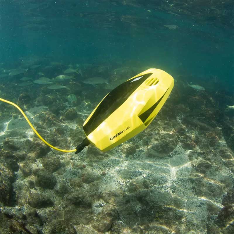 Chasing Dory 7